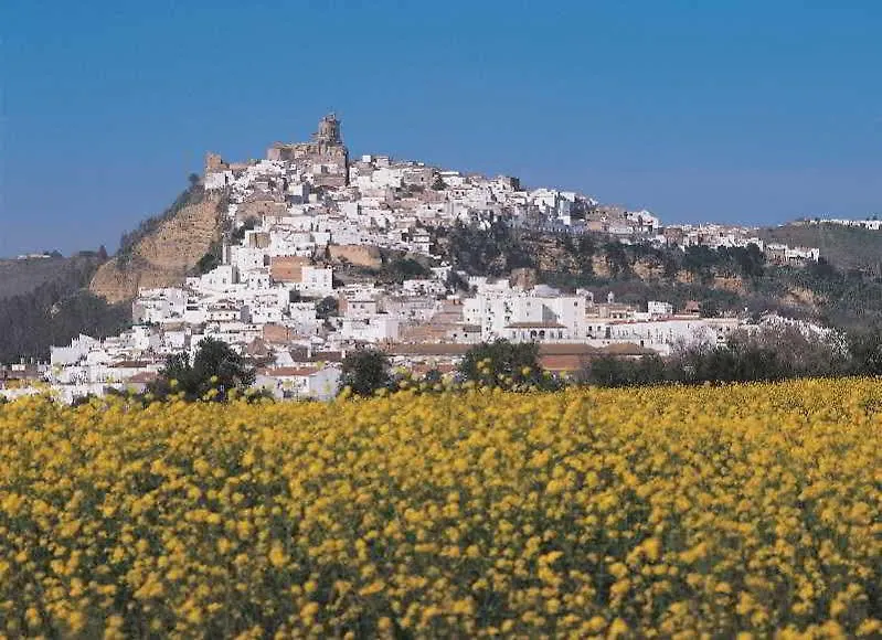 Hotel Arcos Gardens Sol Rent Golf Vallejas